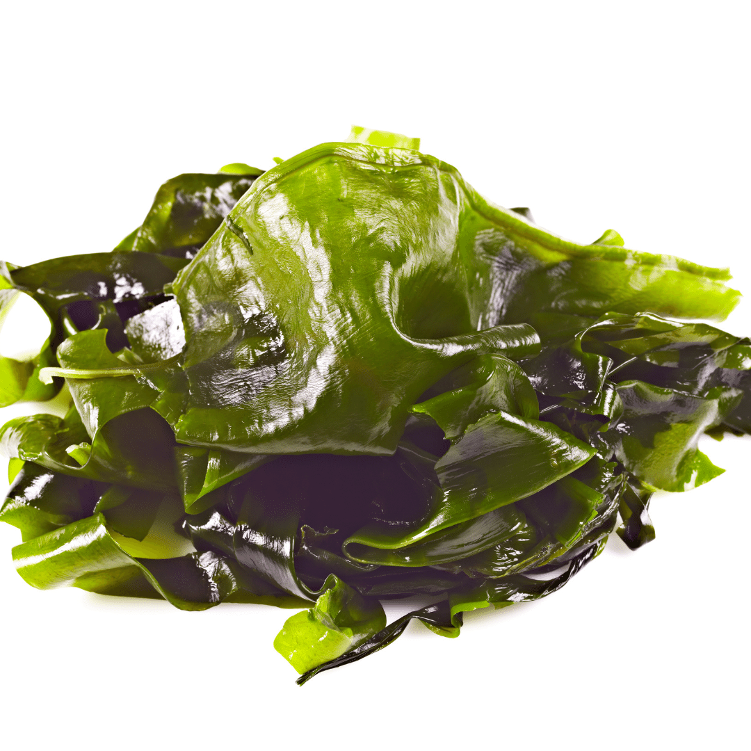 reductor con algas